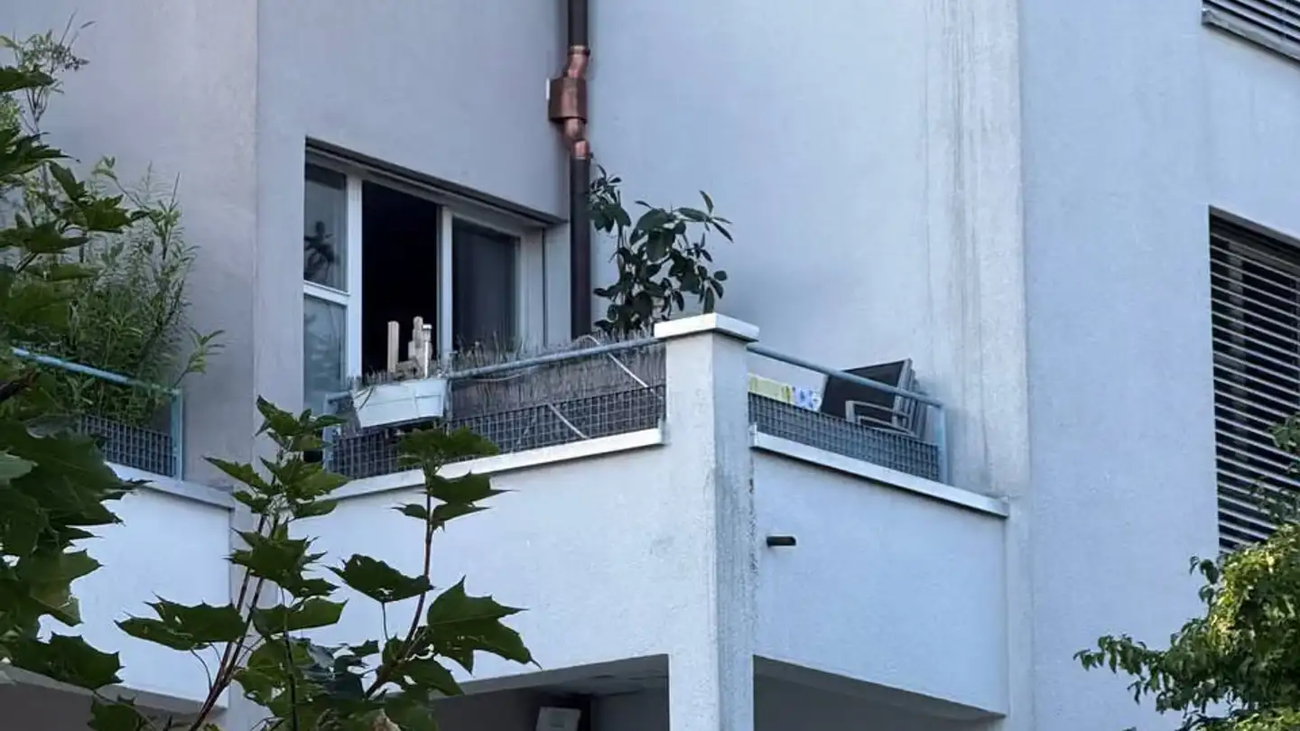 Apartment for rent - Im Tiergarten, 8055 Zürich - Photo 3