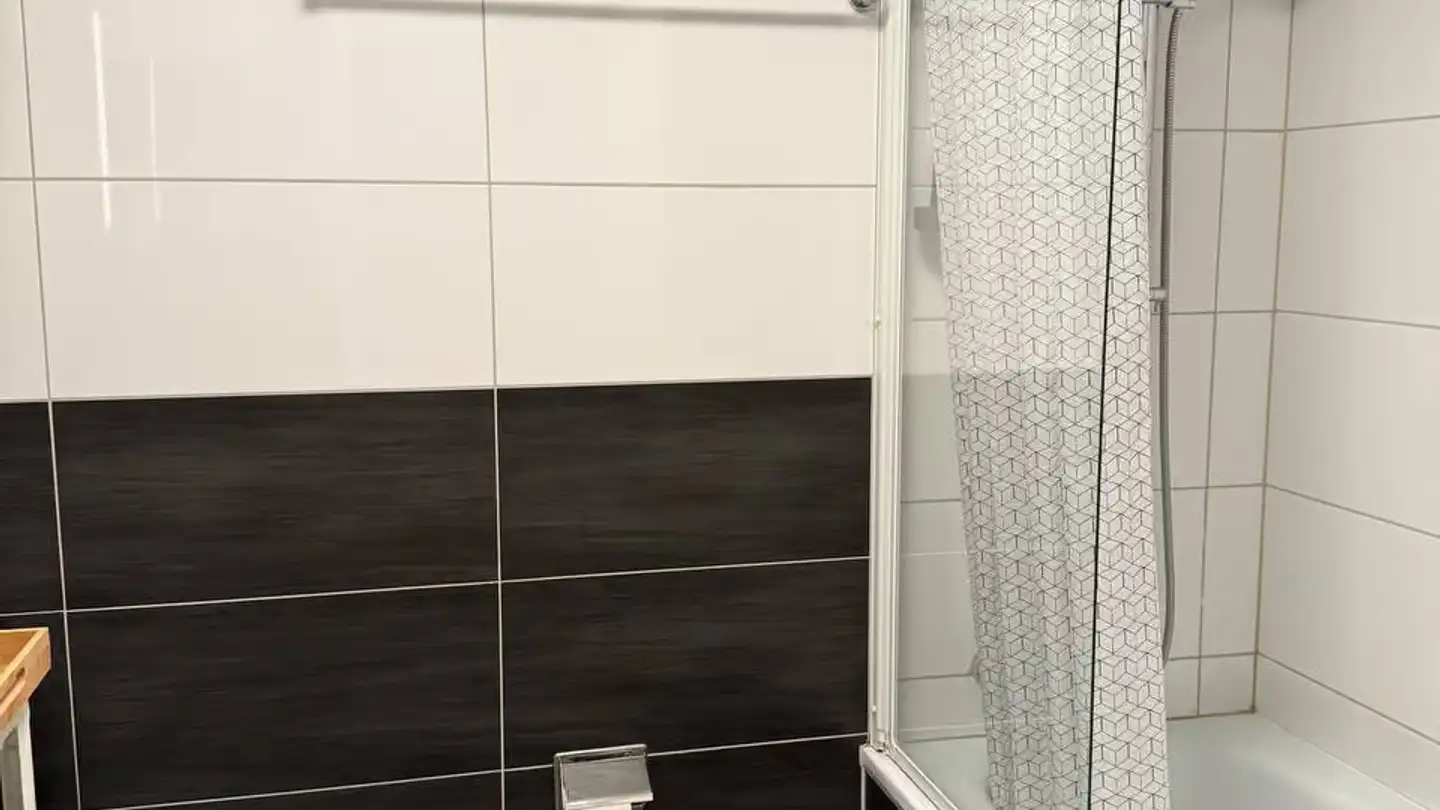 Apartment for rent - Im Tiergarten, 8055 Zürich - Photo 4
