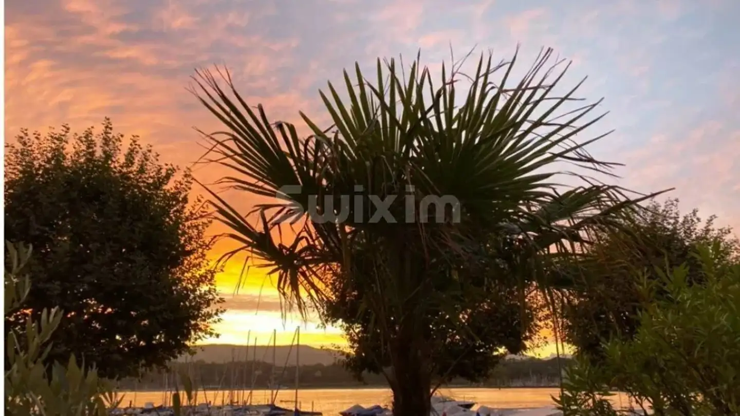 Appartamento in affitto - 1201 Genève - Photo 2