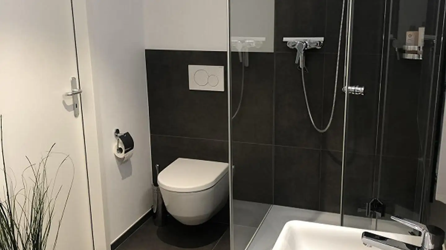 Appartement à louer - Hauptstrasse 79, 4450 Sissach - Photo 3