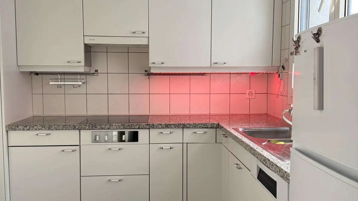 Appartamento in affitto - Wehntalerstrasse 441, 8046 Zürich - Foto 3