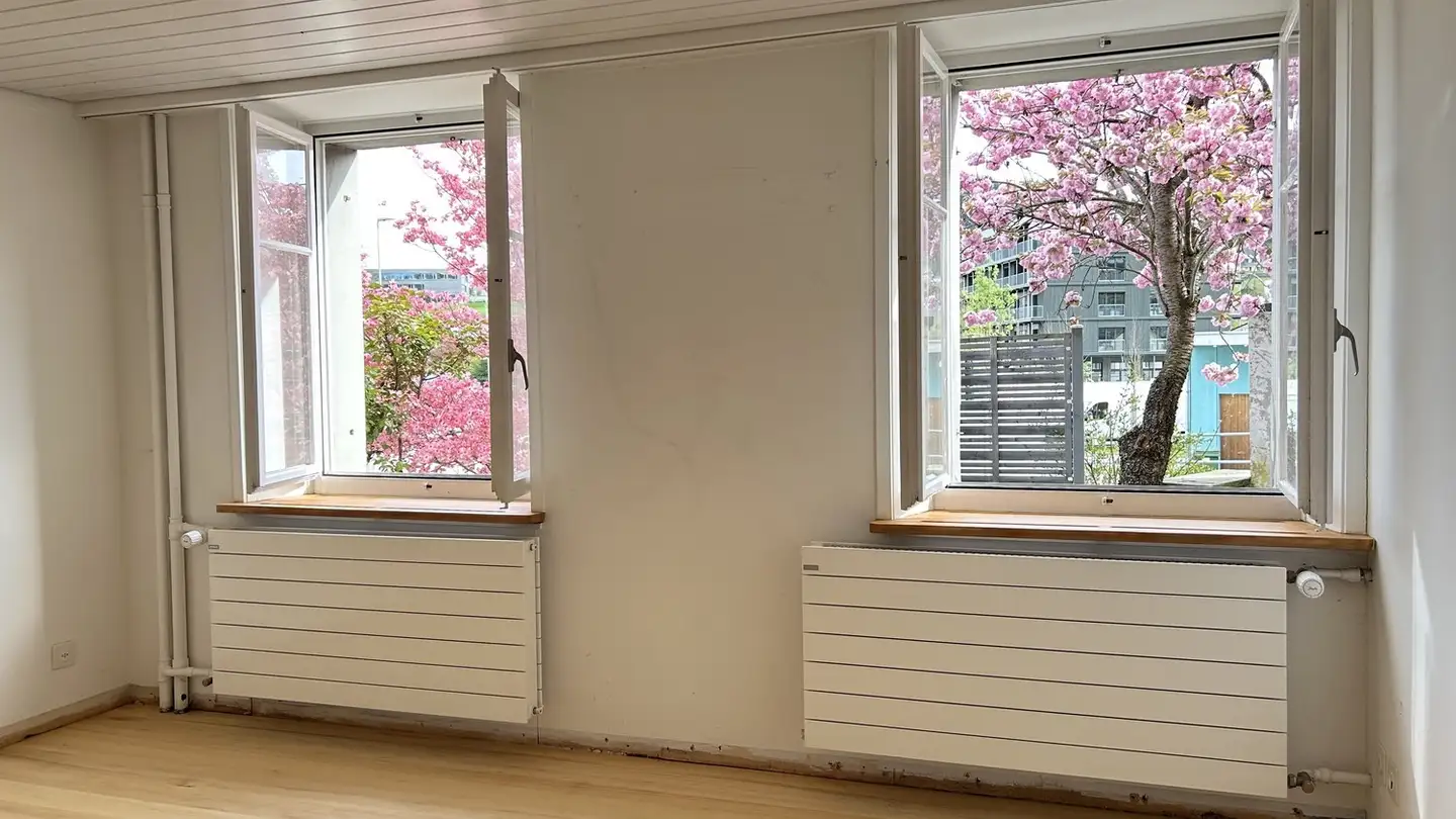 Appartement à louer - Gulpstrasse 6, 6130 Willisau