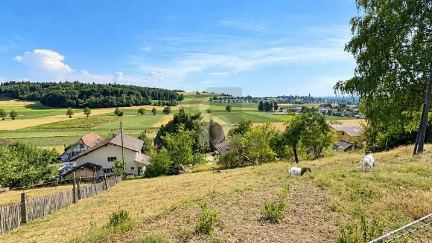 Constructible plot for sale - 3423 Ersigen - Photo 2