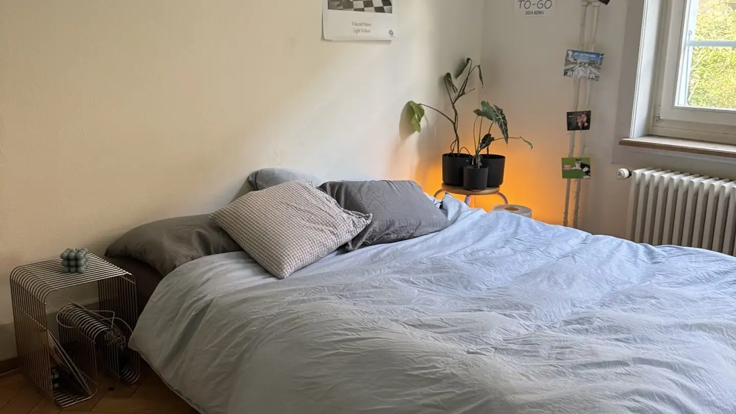 Apartment for rent - 3014 Bern - Photo 4