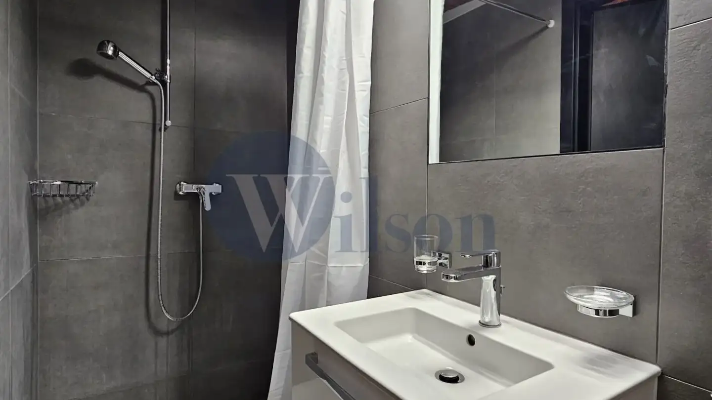 Furnished apartment for rent - 1260 Nyon - Photo 3