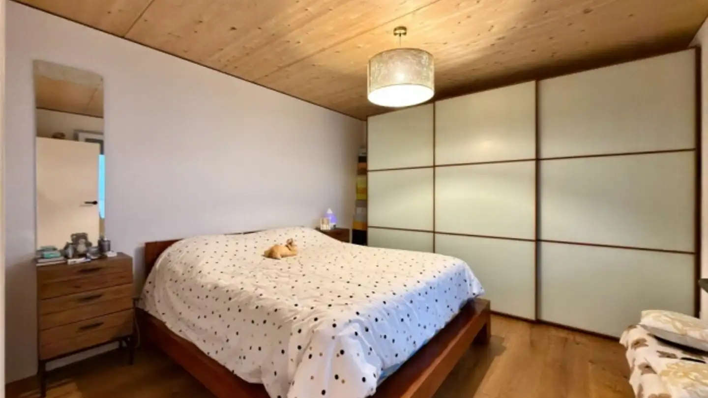 Appartement à vendre - 4450 Sissach - Photo 4