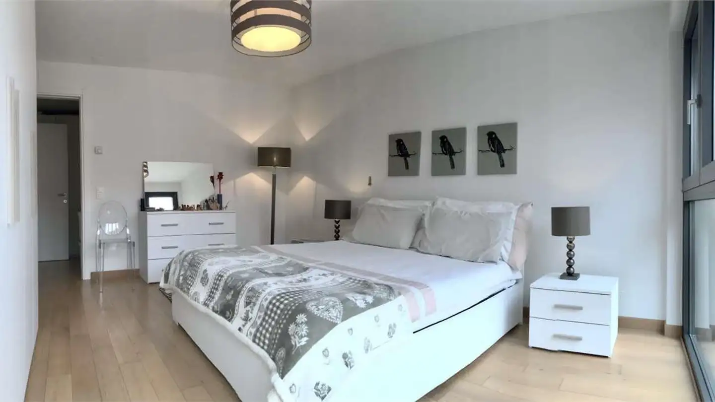 Wohnung kaufen - 6900 Massagno - Foto 4