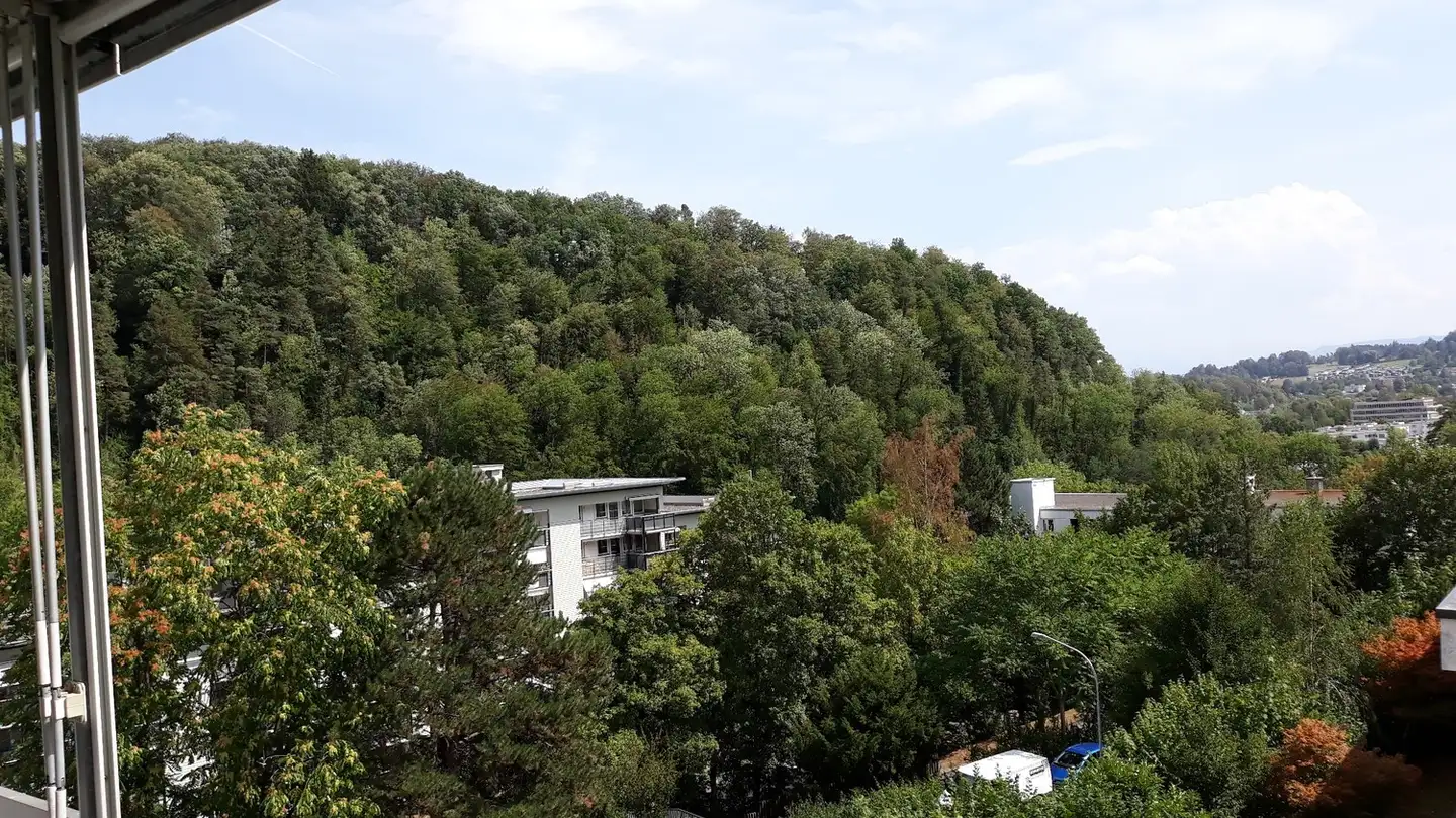 Wohnung mieten - Sihlweidstrasse, 8041 Zürich - Foto 4