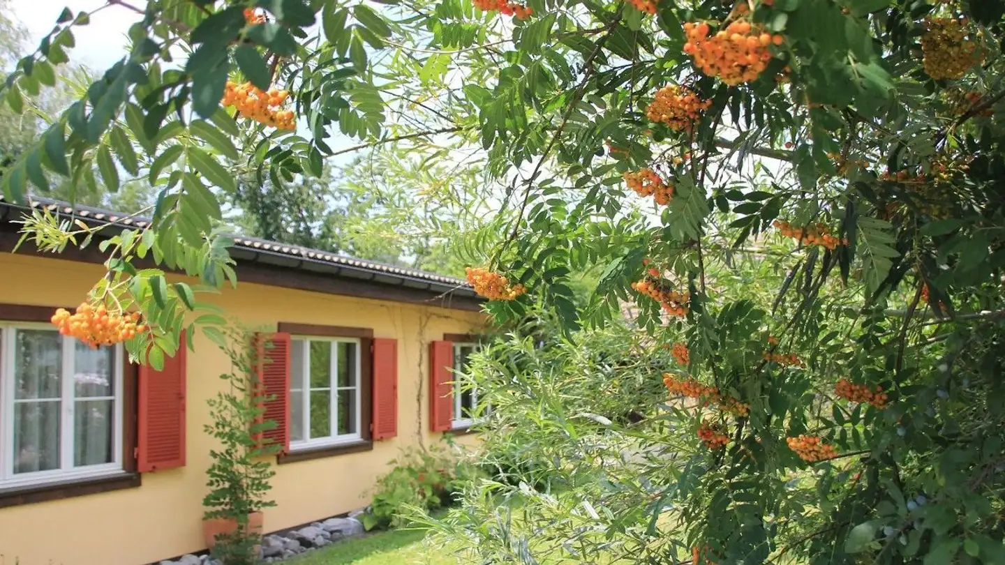 Immeuble résidentiel à louer - Hofacherstrasse 31, 8637 Laupen ZH