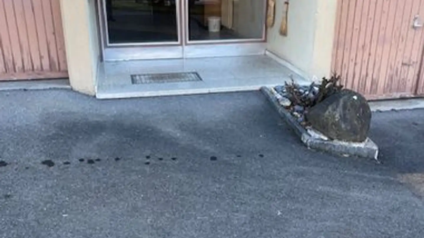 Appartement à vendre - Wilerstrasse 122, 9620 Lichtensteig - Photo 2