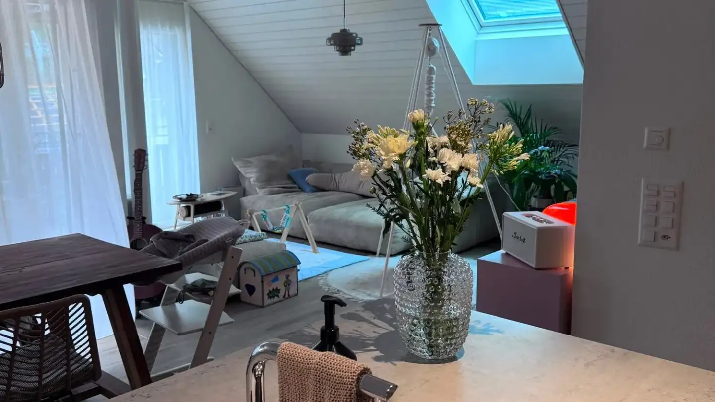 Appartement à louer - Breitistrasse, 8335 Hittnau
