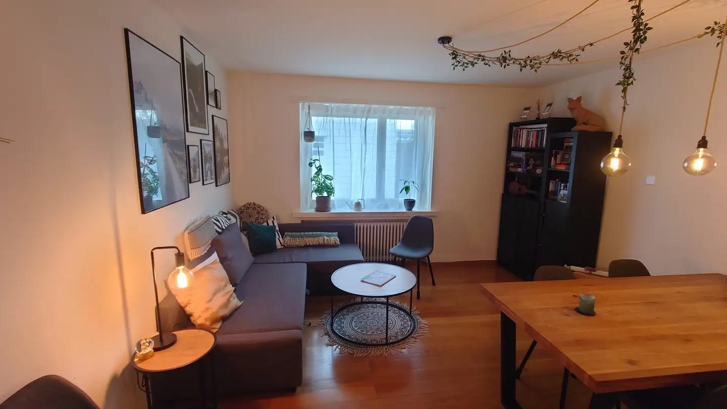 Appartamento in affitto - Salstrasse 7, 8400 Winterthur