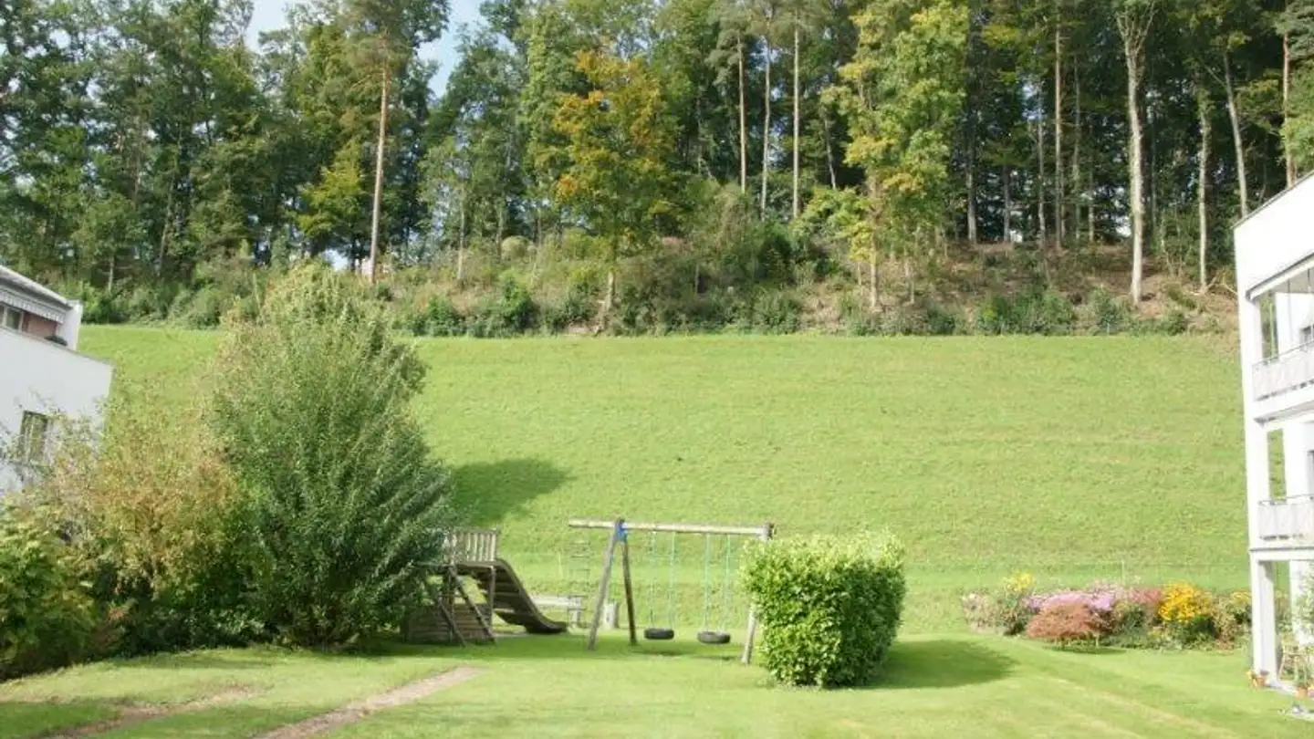 Appartamento in affitto - Honeggrainstrasse 11, 8630 Rüti ZH - Foto 3