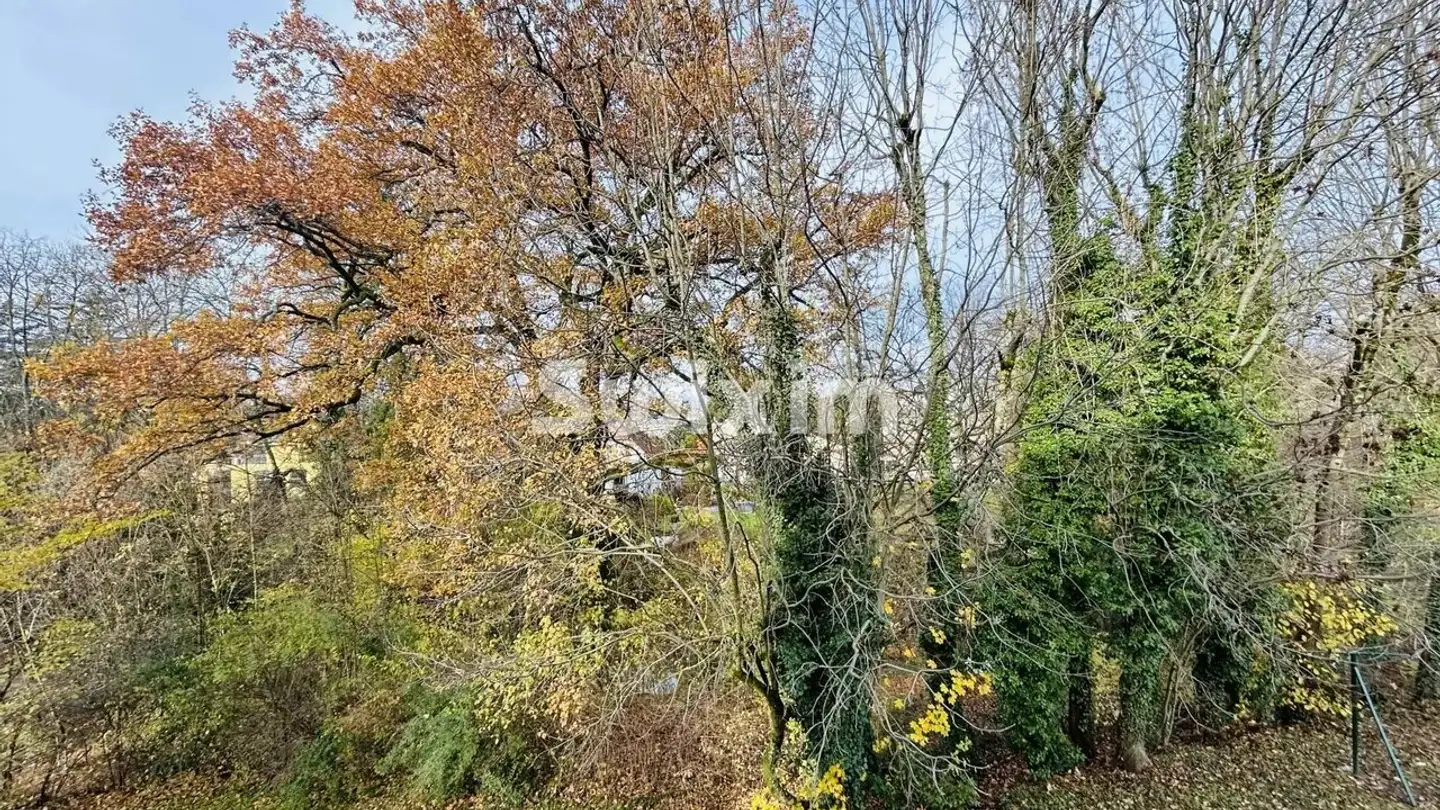 Appartamento in affitto - 1225 Chêne-Bourg - Photo 2