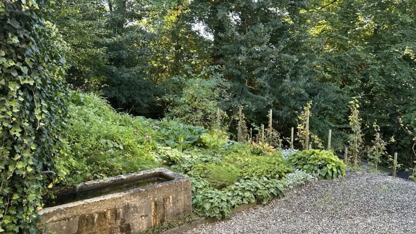 Maison individuelle à vendre - 6331 Hünenberg