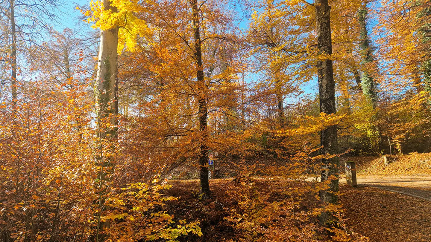 Apartment for sale - 1036 Sullens - Photo 2