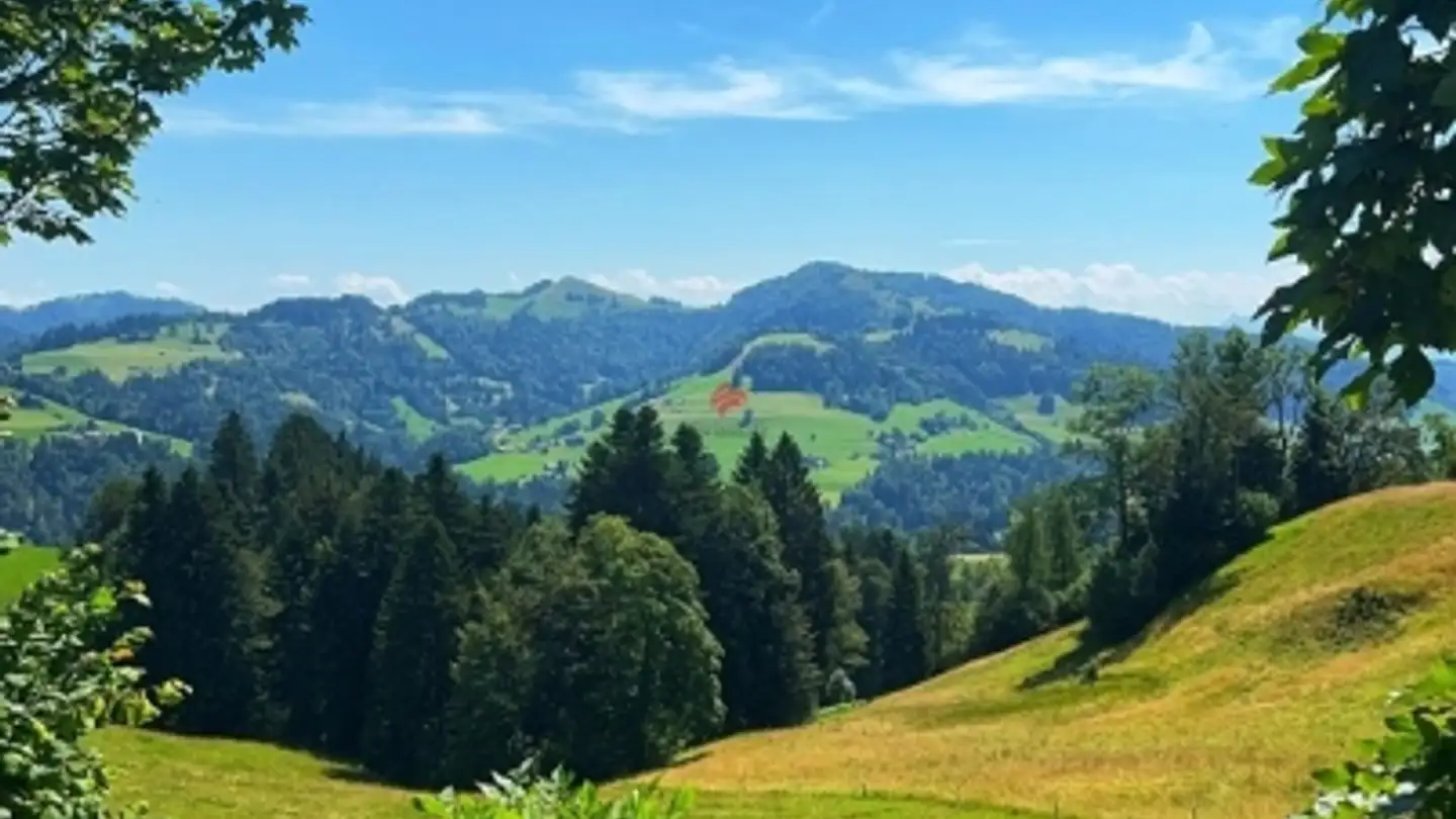 Maison individuelle à vendre - Ghöchstrasse, 8498 Gibswil - Photo 3