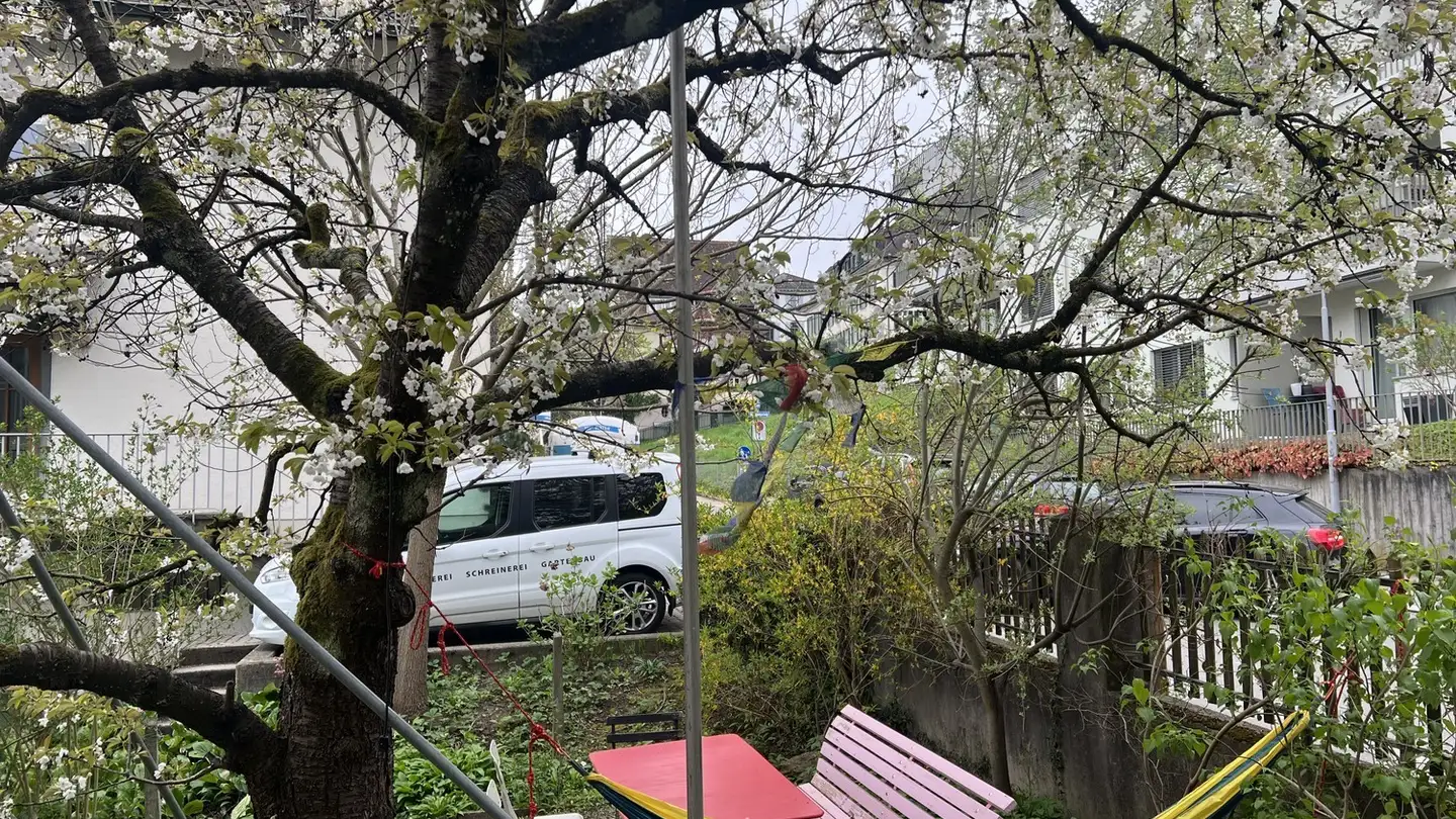 Single room for rent - Renggerstrasse, 8038 Zürich - Photo 3