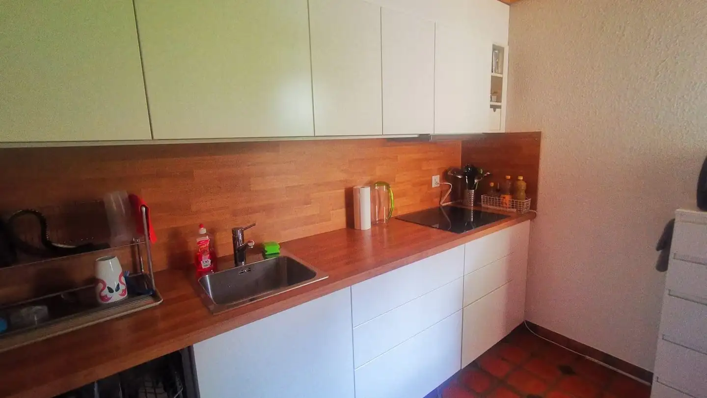 Row house for rent - Birchstrasse, 8156 Oberhasli