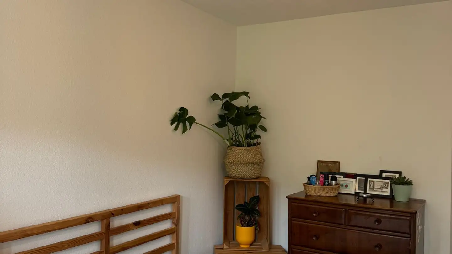 Single room for rent - Hörnlistrasse 2, 8057 Zürich - Photo 2