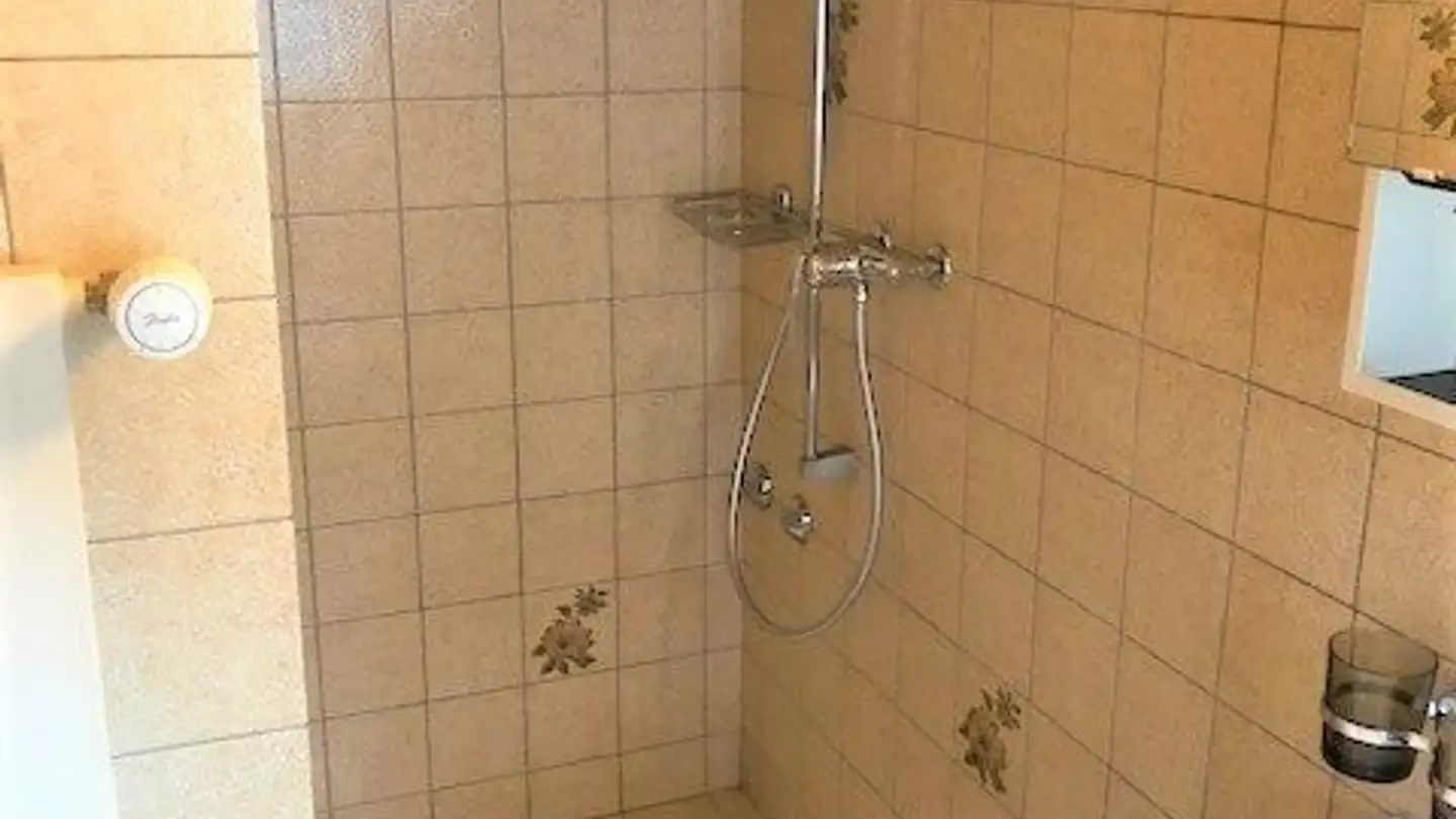 Studio for rent - Munzingerplatz 6, 4600 Olten - Photo 4