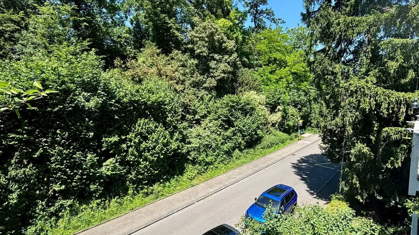 Appartamento in affitto - Binningerstrasse 82, 4153 Reinach BL - Foto 2