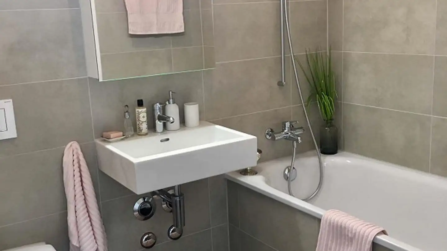 Wohnung mieten - Hohenrainstrasse 24a, 4133 Pratteln - Foto 4