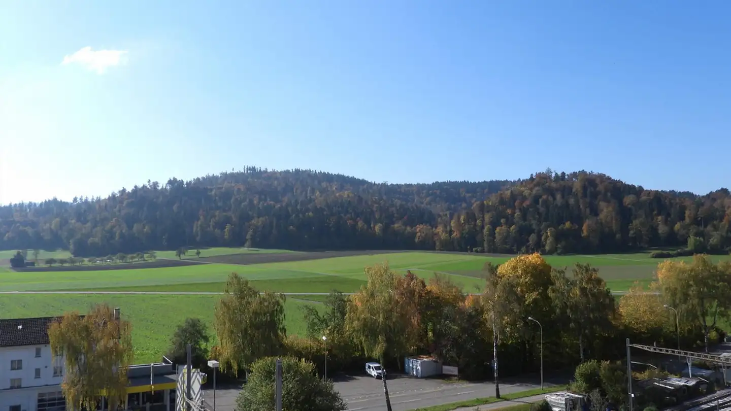 Wohnung mieten - Äntenschnabel 20, 8353 Elgg