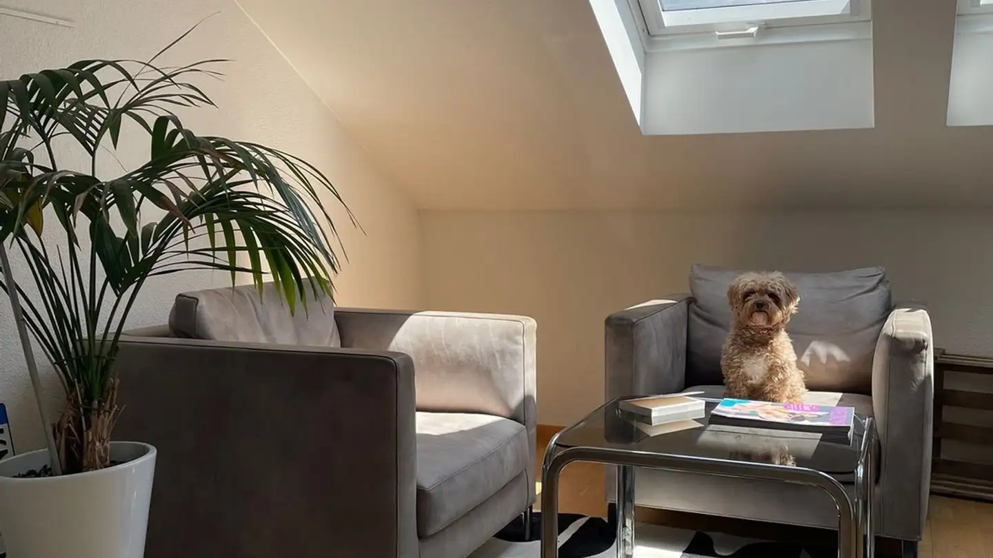 Wohnung mieten - Küngenmatt 9, 8055 Zürich - Foto 4