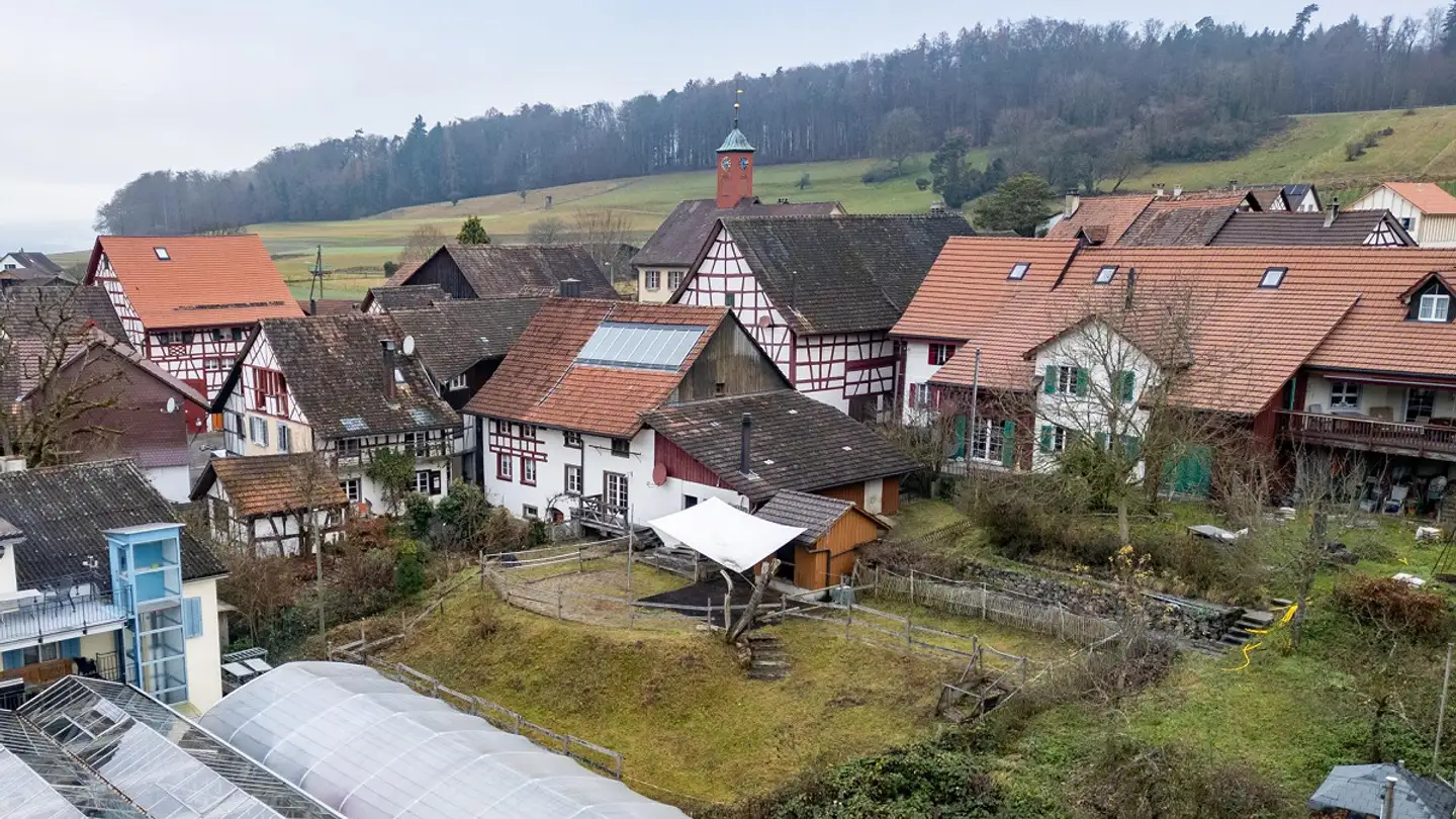 Bauernhof kaufen - Dorfstrasse 4, 8465 Wildensbuch - Foto 2