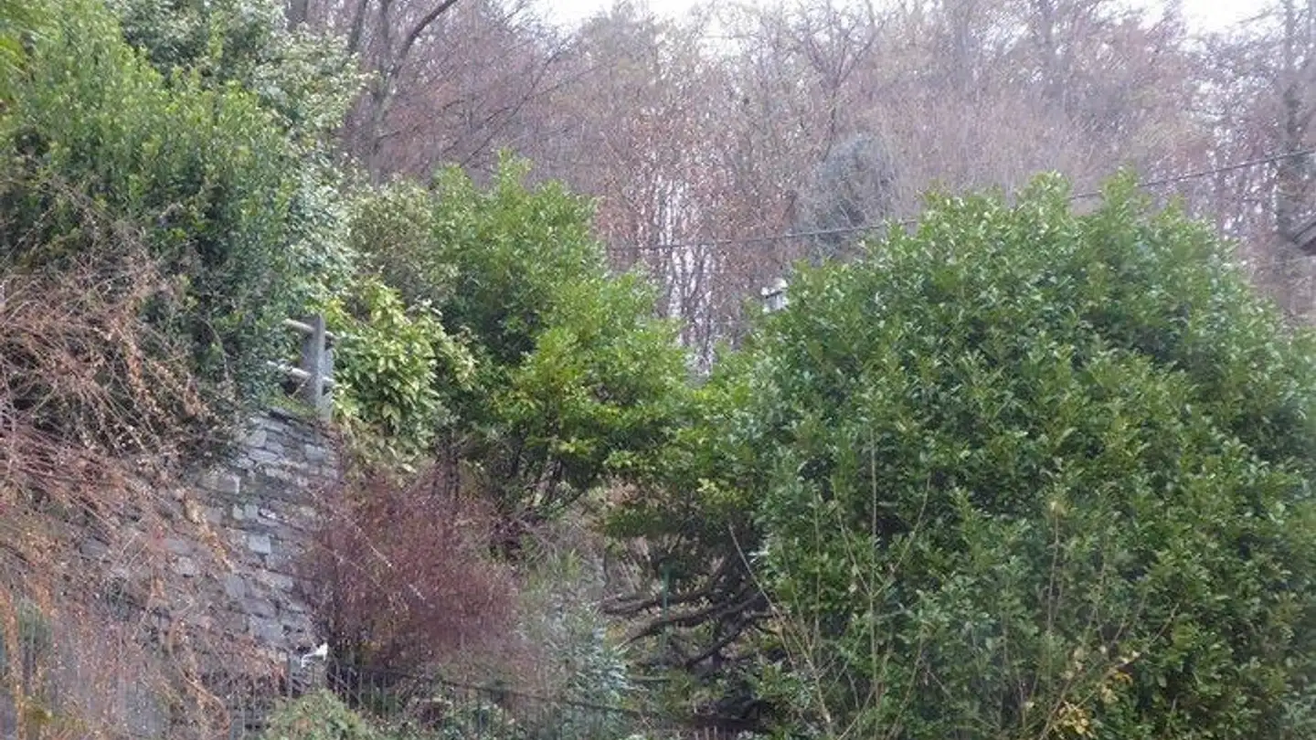 Bien immobilier à vendre - 6616 Losone - Photo 3