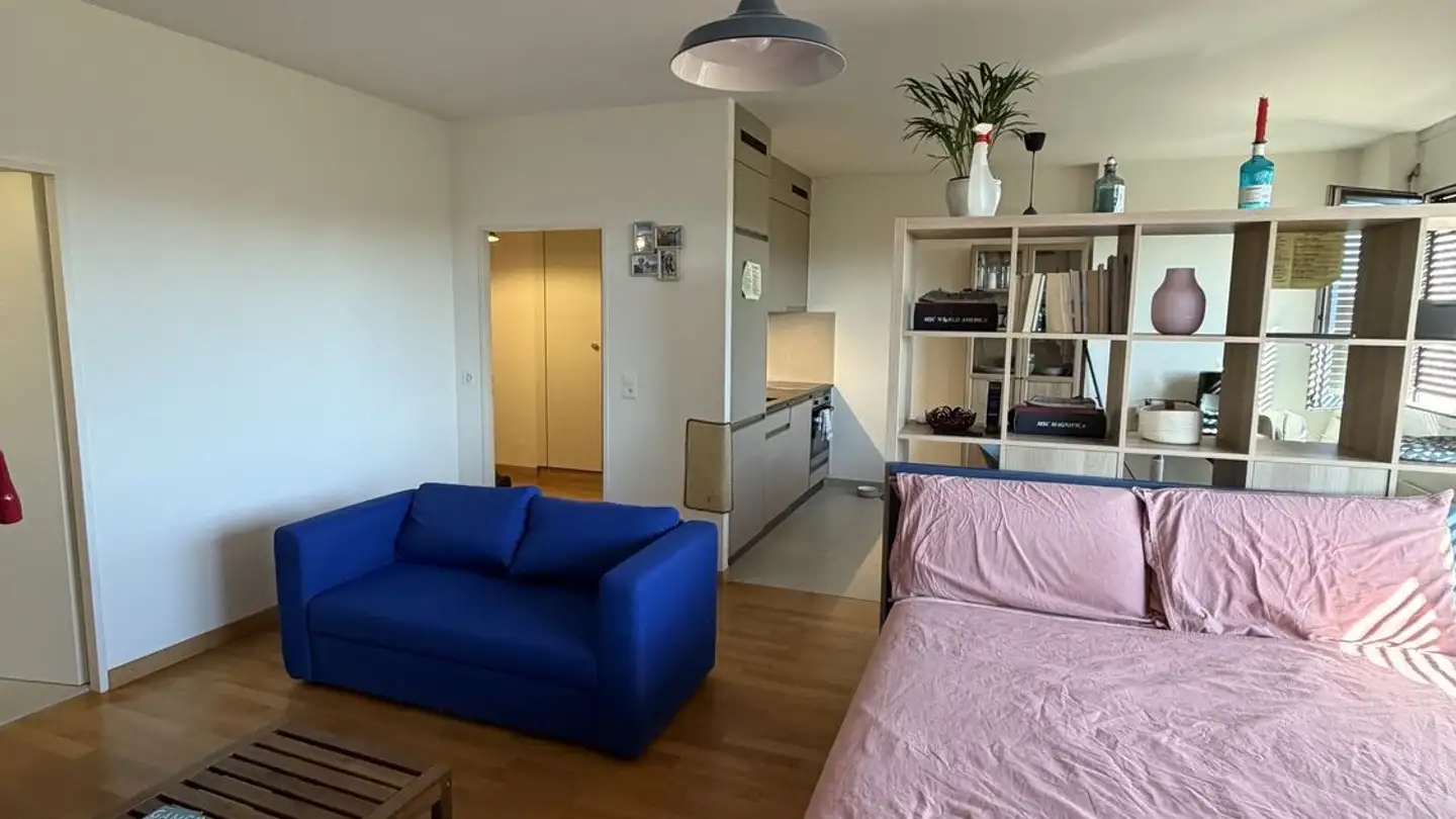 Appartamento in affitto - Route De Florissant 52, 1206 Genève
