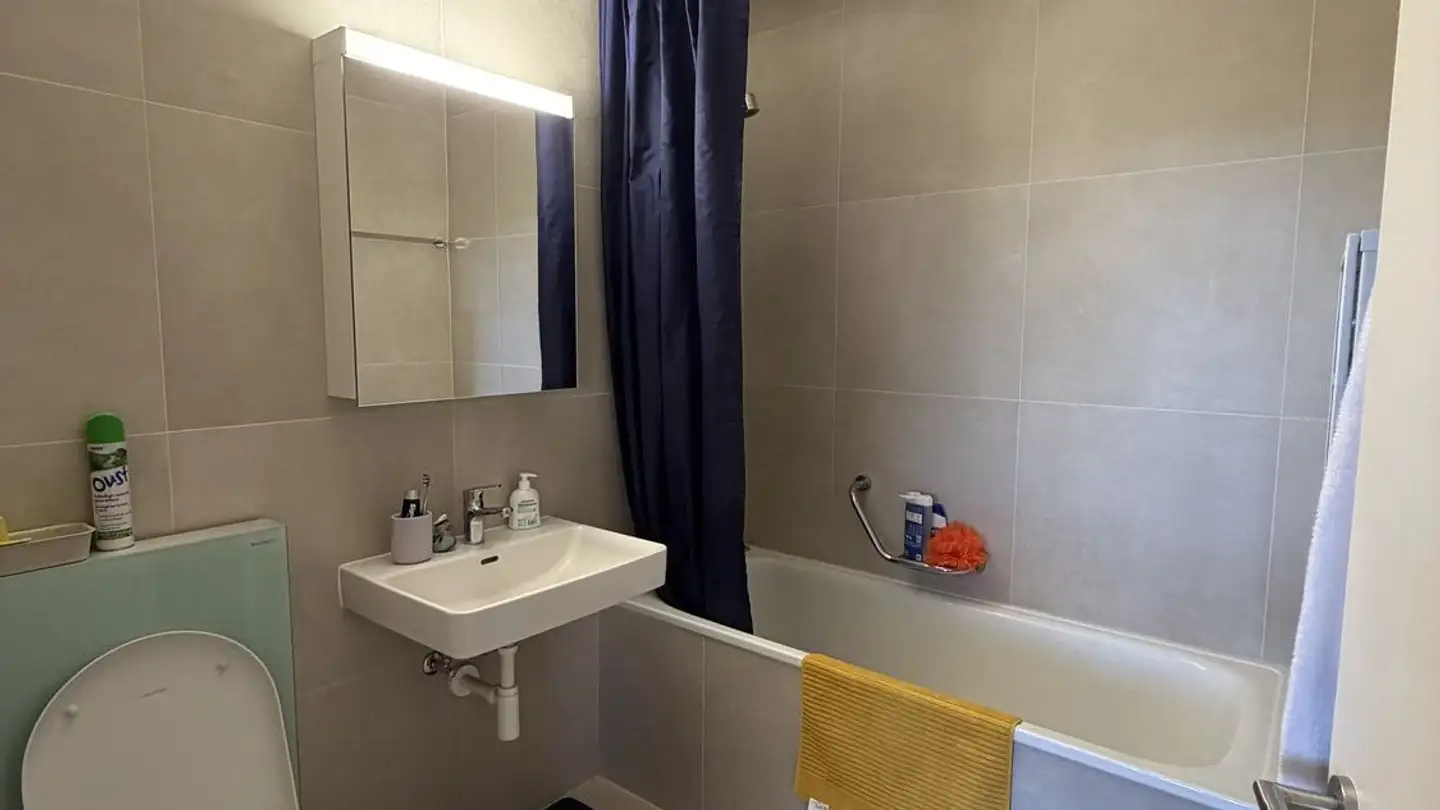 Appartamento in affitto - Route De Florissant 52, 1206 Genève - Foto 4