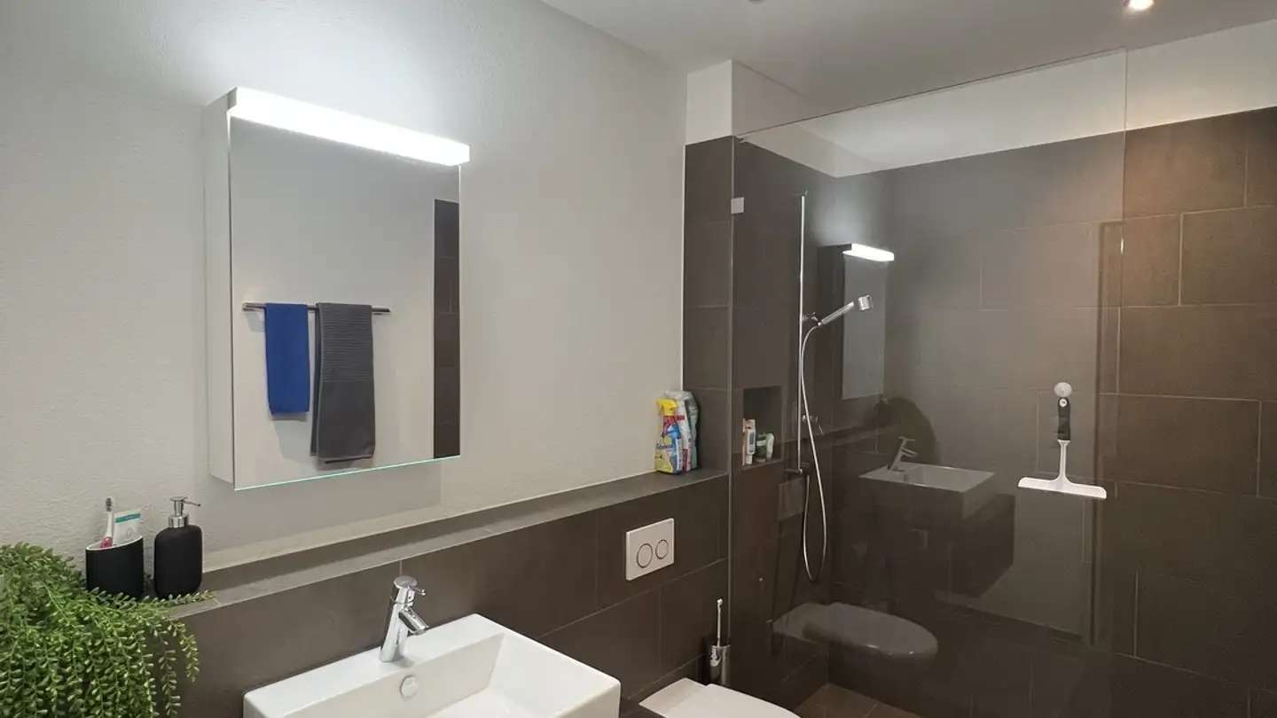 Appartamento in affitto - Gerliswilstrasse 98, 6020 Emmenbrücke