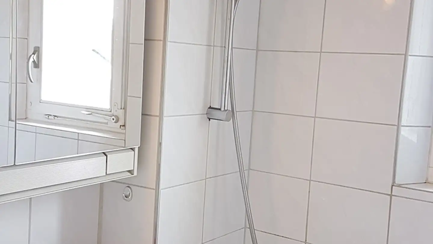 Stanza singola in affitto - Rifertstrasse, 8134 Adliswil - Photo 4