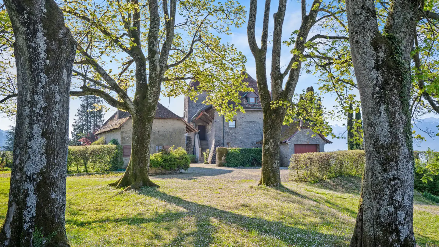 Château à vendre - Chemin de Bochat, 1094 Paudex - Photo 4