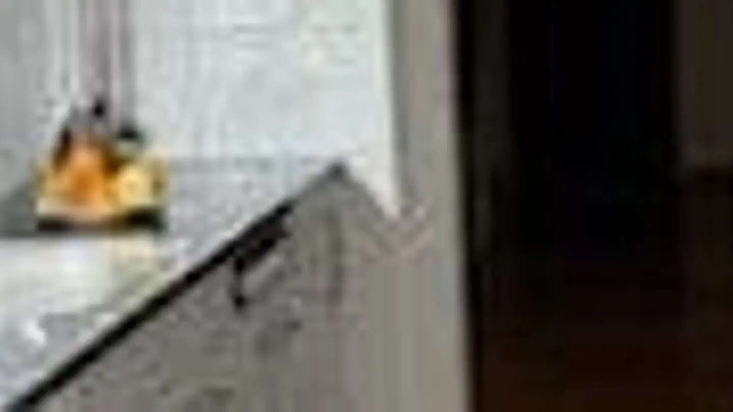 Appartement à louer - Tschäpperliring 10, 4153 Reinach BL