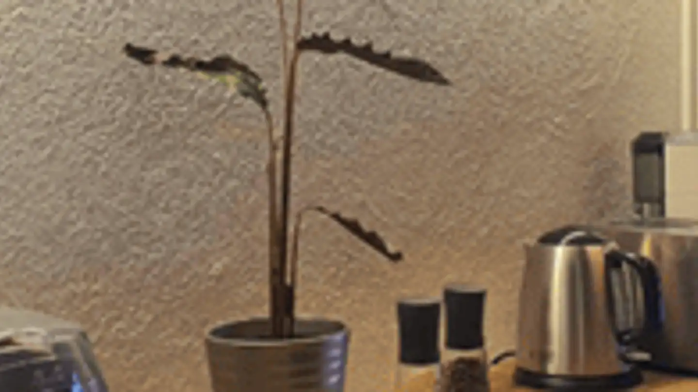 Wohnung mieten - Hildastrasse 5, 8004 Zürich - Foto 4