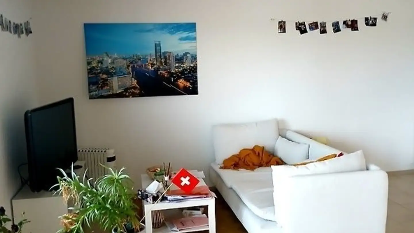 Möblierte Wohnung mieten - 8862 Schübelbach