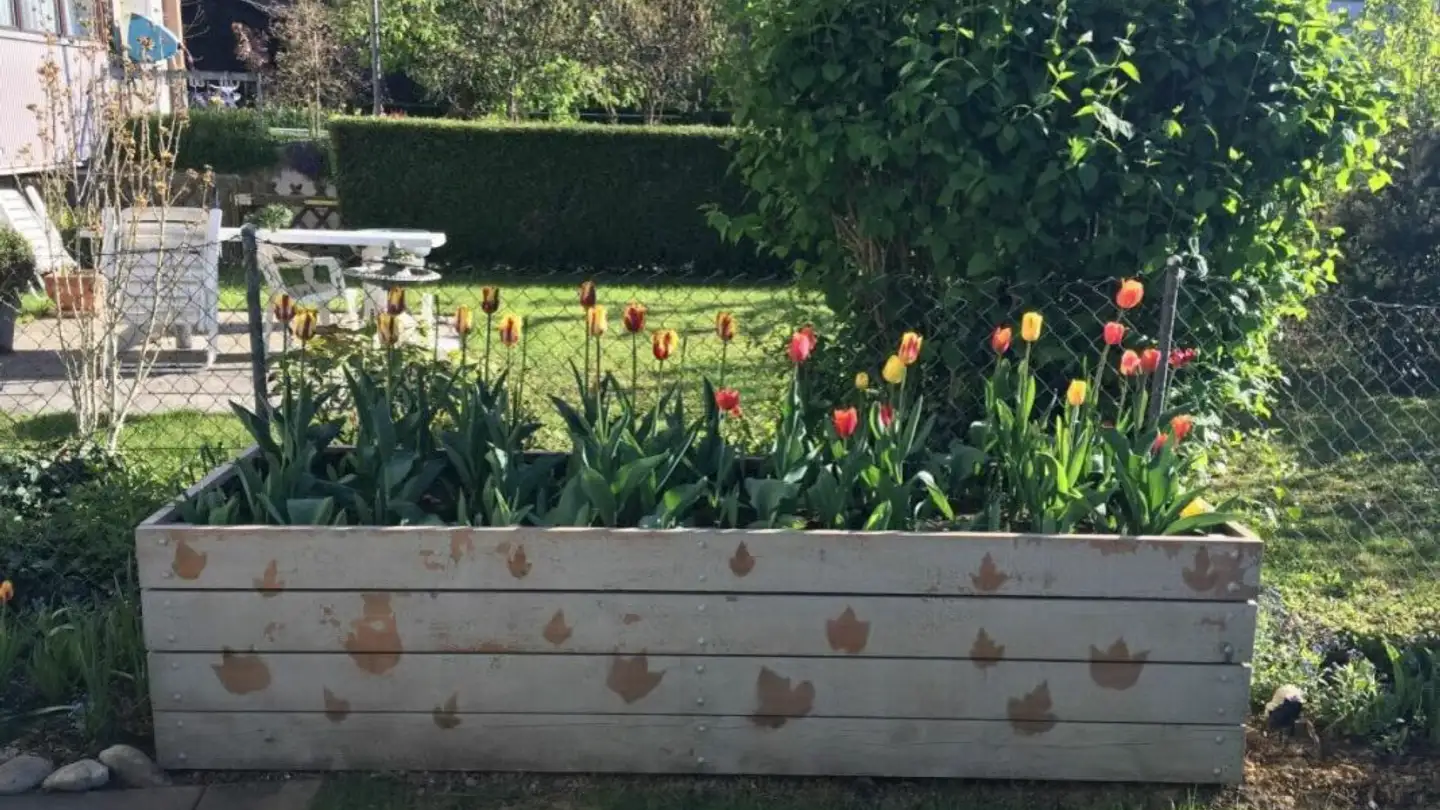 Appartamento in affitto - Klusweg 52, 4153 Reinach BL