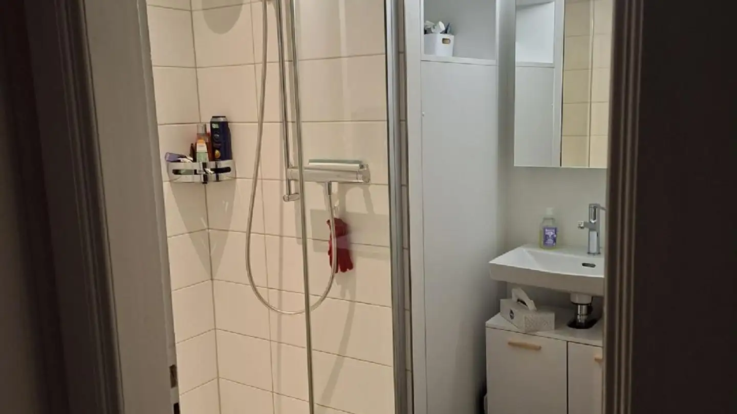 Appartamento in affitto - Baslerstrasse 29, 4600 Olten - Foto 4