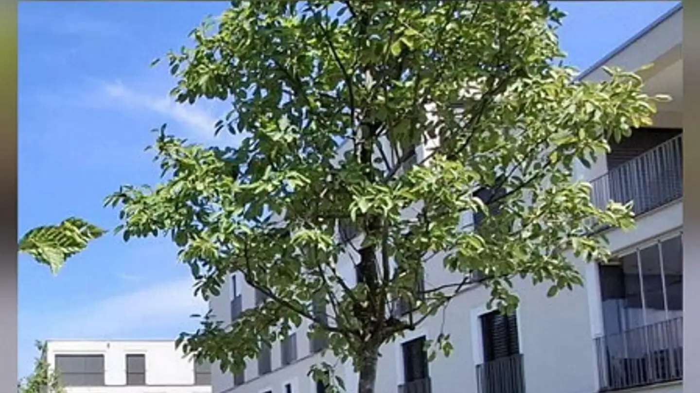 Wohnung mieten - Kesselbachstrasse 8, 9450 Altstätten SG