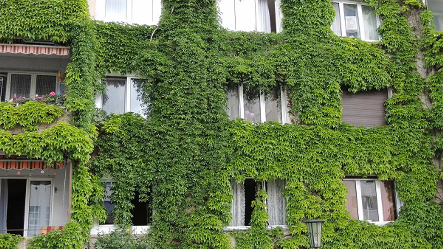 Parcheggio esterno in affitto - Im Grünen Hof 3, 8280 Kreuzlingen