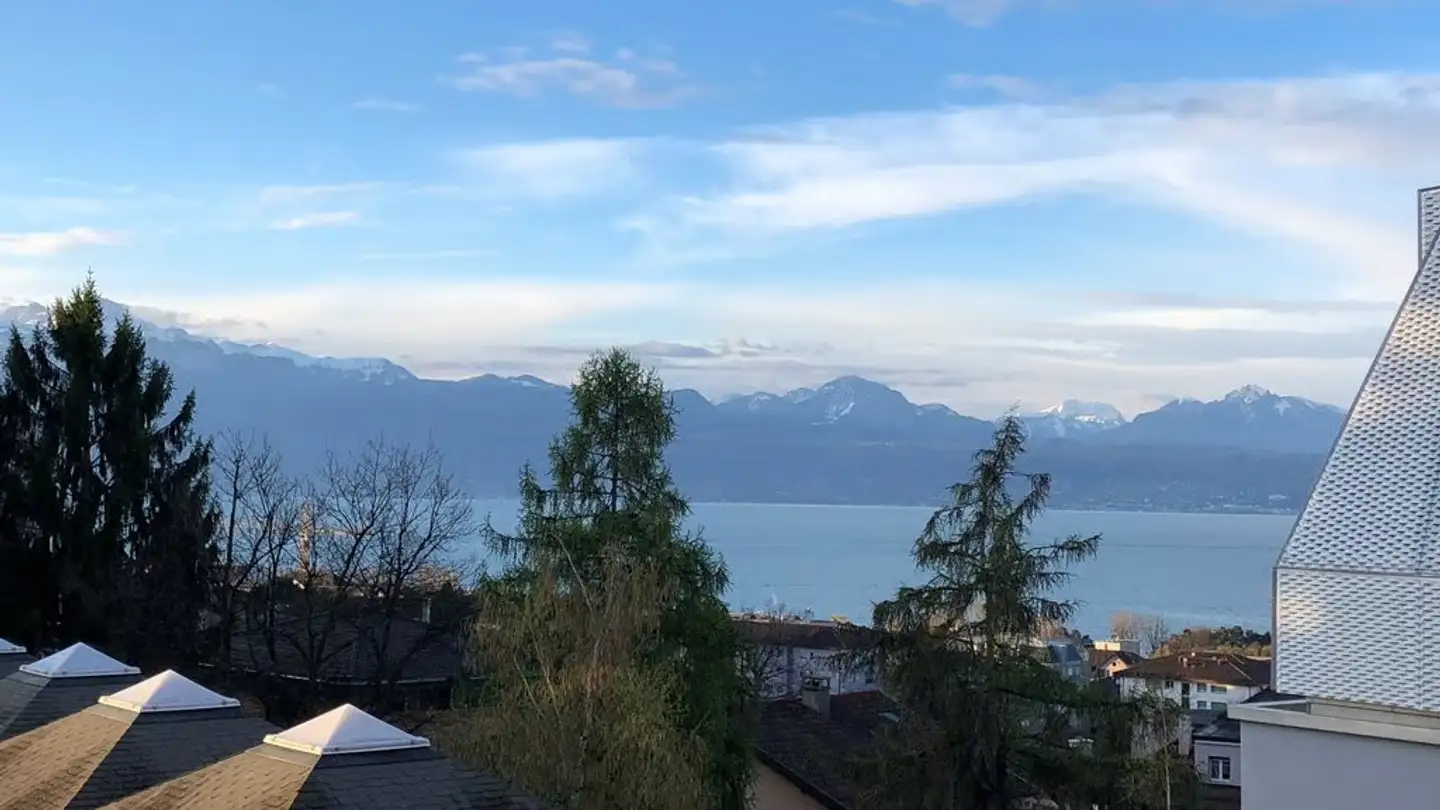 Appartement à louer - Chemin De Montelly 15, 1007 Lausanne