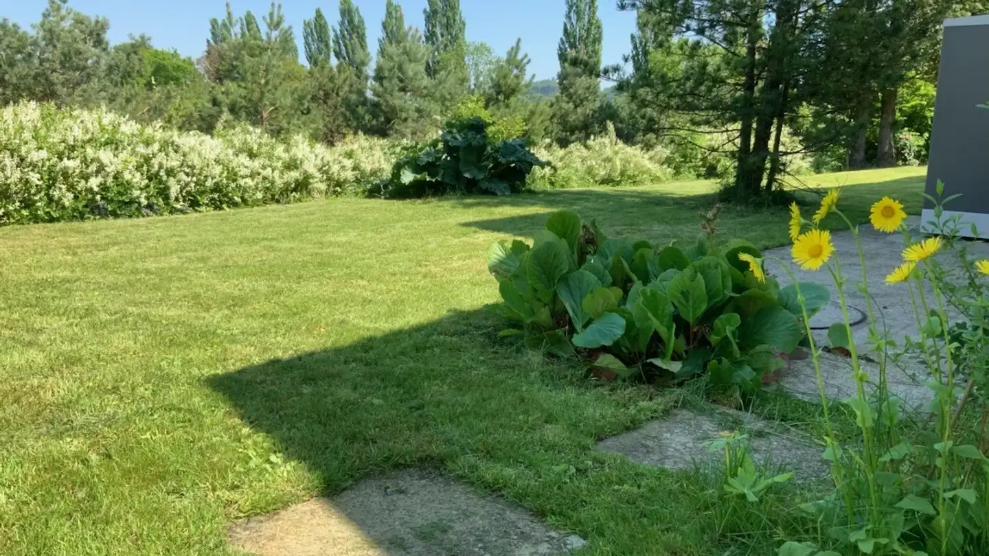 Appartement à louer - Habsburgweg 5, 5107 Schinznach Dorf - Photo 2