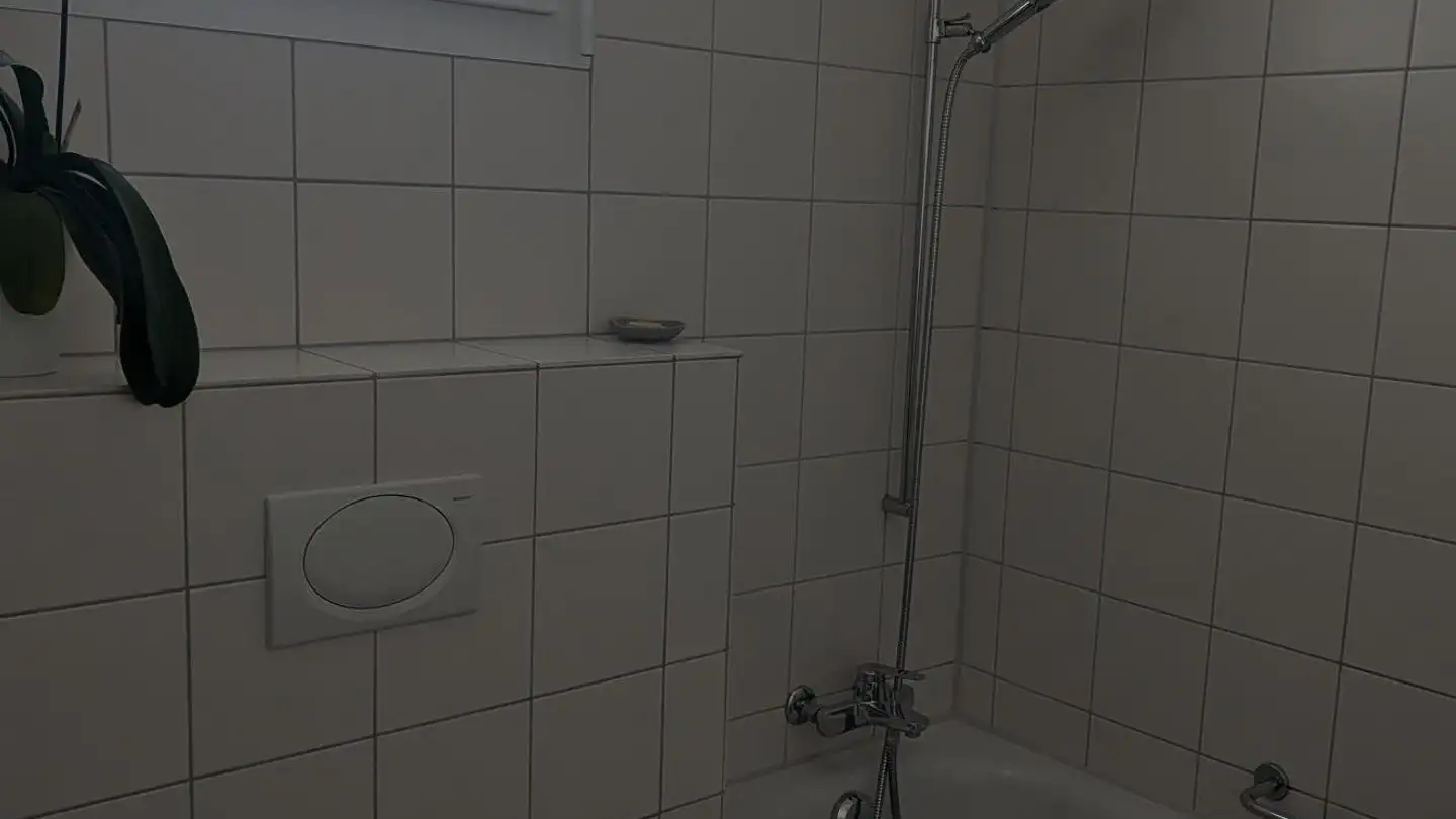 Duplex for rent - Steinbühlallee 108g, 4123 Allschwil - Photo 3