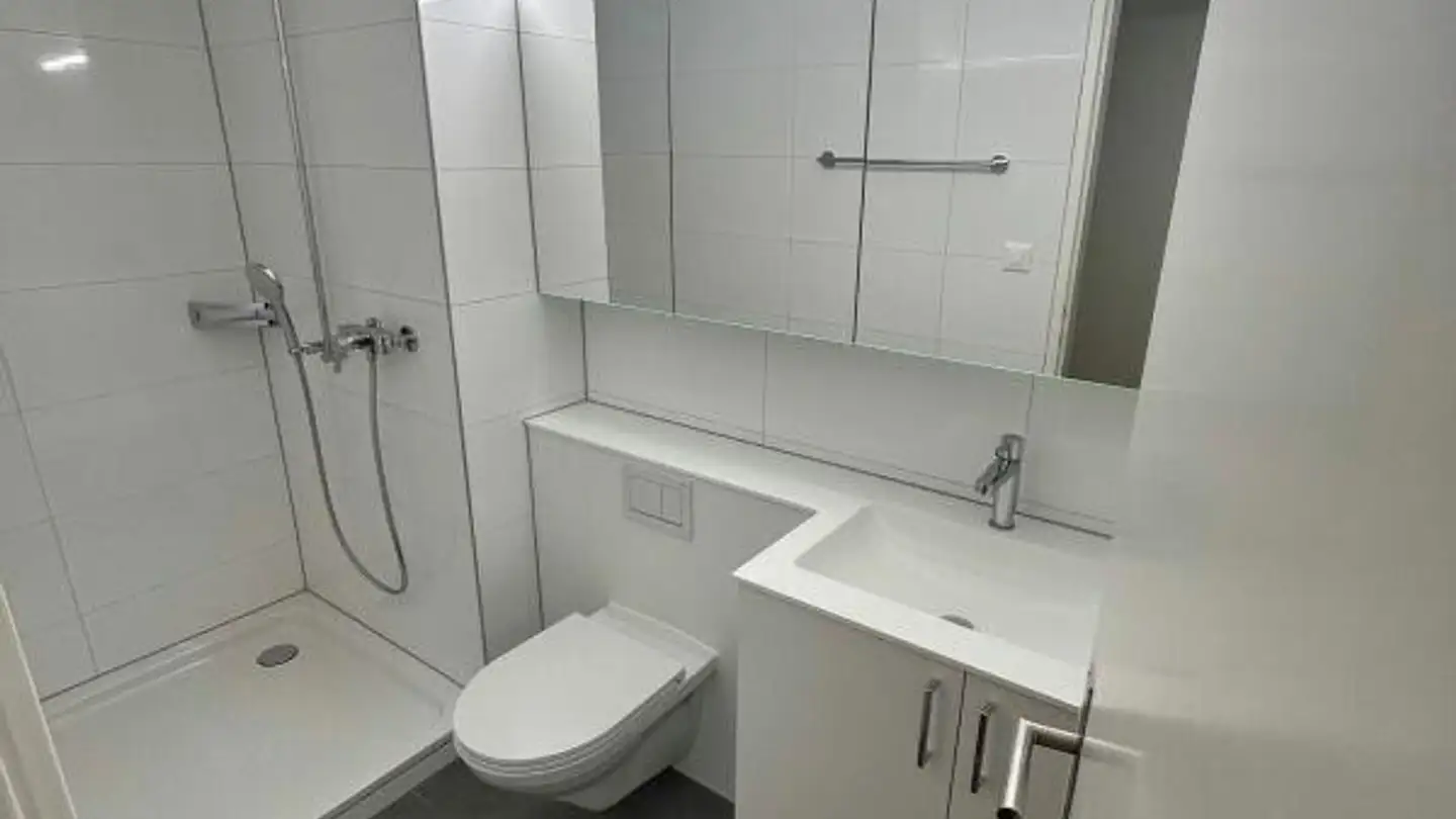 Appartement à louer - Birchweg 39, 8200 Schaffhausen - Photo 4