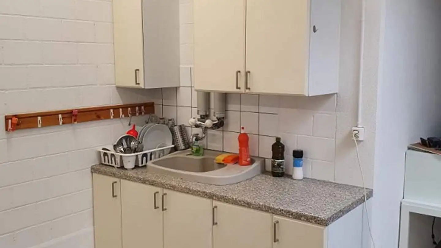 Atelier à louer - Liebensteinstrasse 5, 8047 Zürich