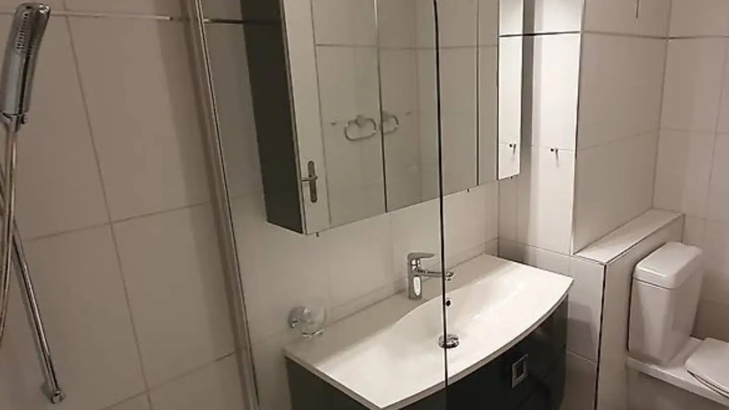 Apartment for rent - 8953 Dietikon - Photo 4