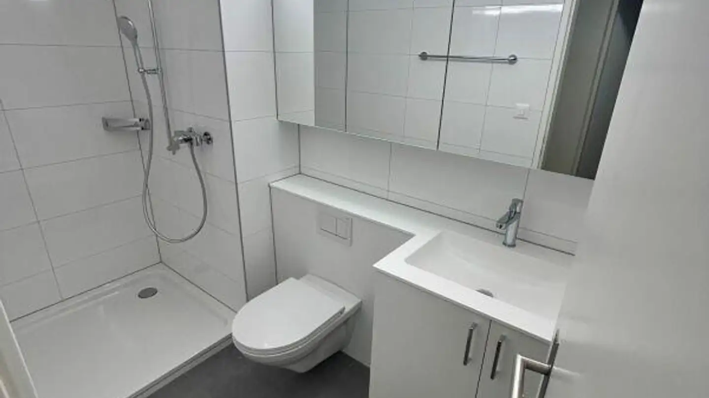 Appartement à louer - Birchweg 41, 8200 Schaffhausen - Photo 4